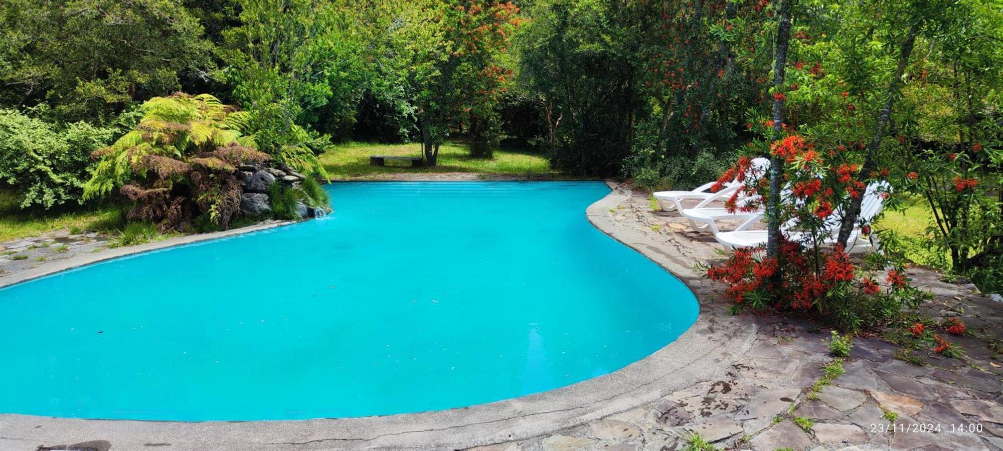Bambu Lodge Pucón Zewnętrze zdjęcie