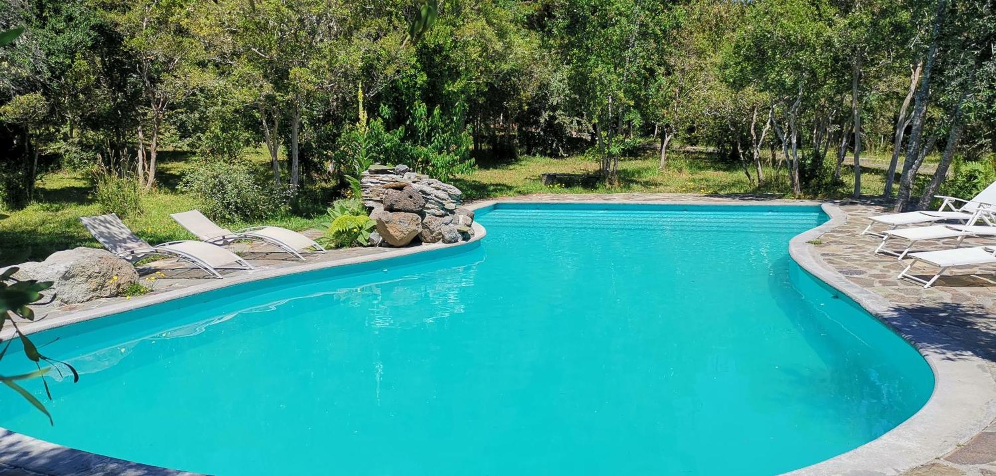 Bambu Lodge Pucón Zewnętrze zdjęcie