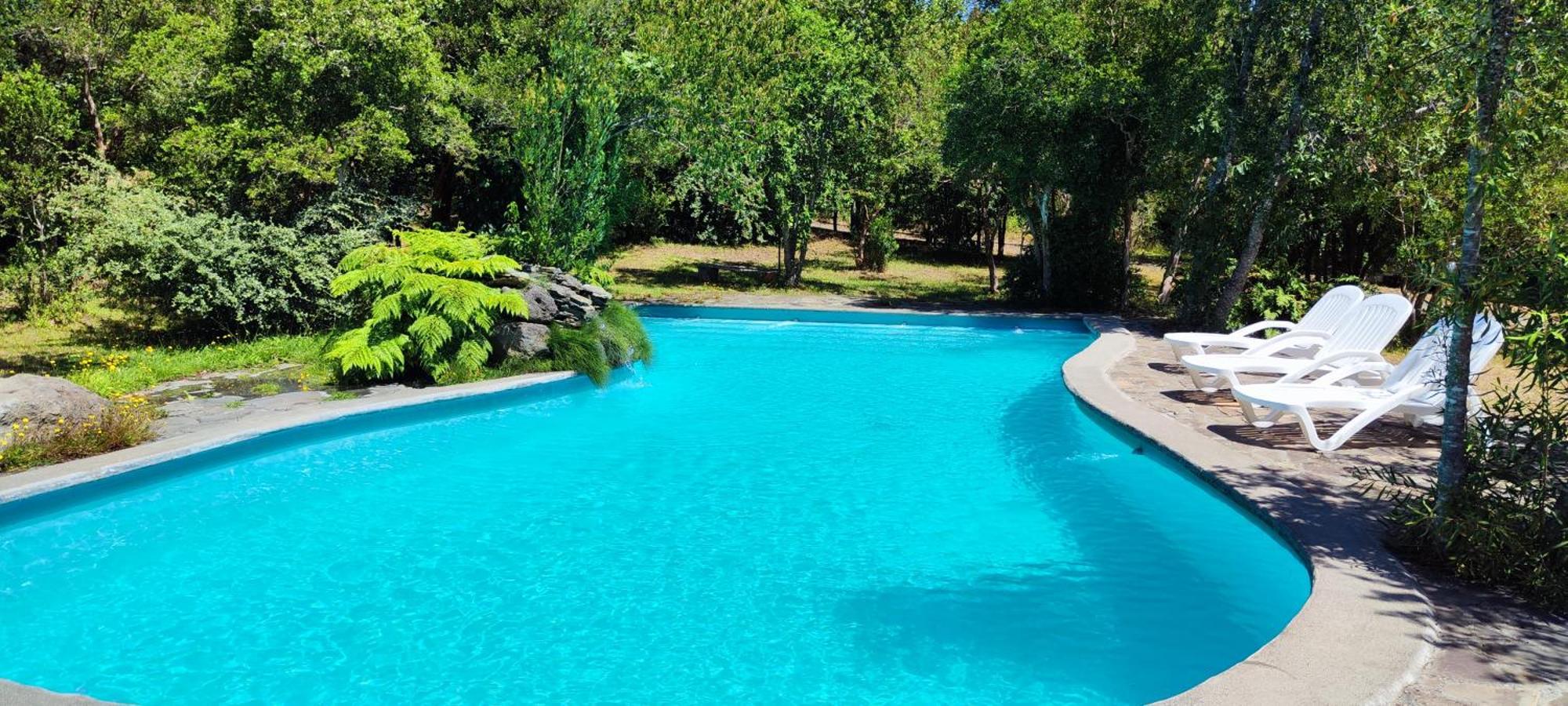 Bambu Lodge Pucón Zewnętrze zdjęcie